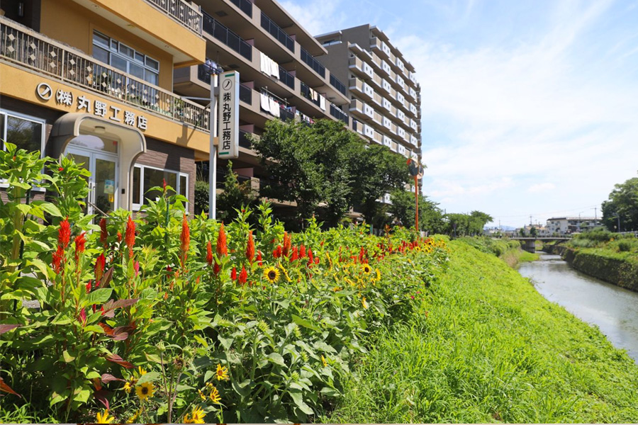 住宅のこと、建築のこと、家事のこと、ブログ始めます